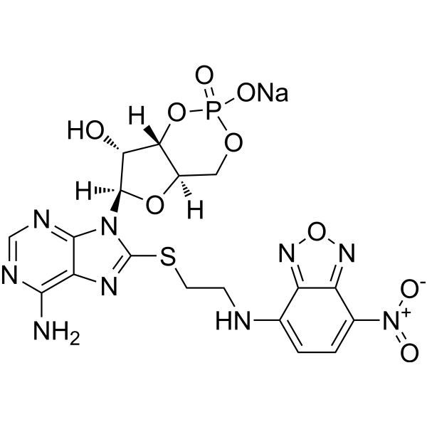 8-NBD-cAMP sodium 221905-51-7